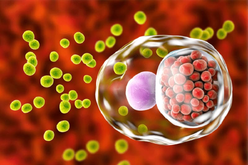 Hậu quả của bệnh đau mắt hột, cách phòng ngừa và chữa trị hau qua cua benh dau mat hot