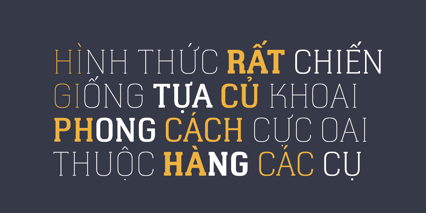 Download-Tổng Hợp Font Việt Hóa Đẹp Bộ font việt hóa này bao gồm 6 kiểu từ Light cho đến Black, đã được việt hóa trọn bộ, kerning và opentype hoàn chỉnh.