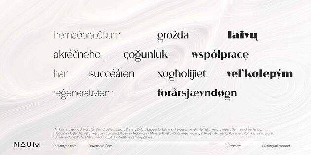 Top 20 Font Chữ Sang Trọng Nhất Hiện Nay rav sans 4 2